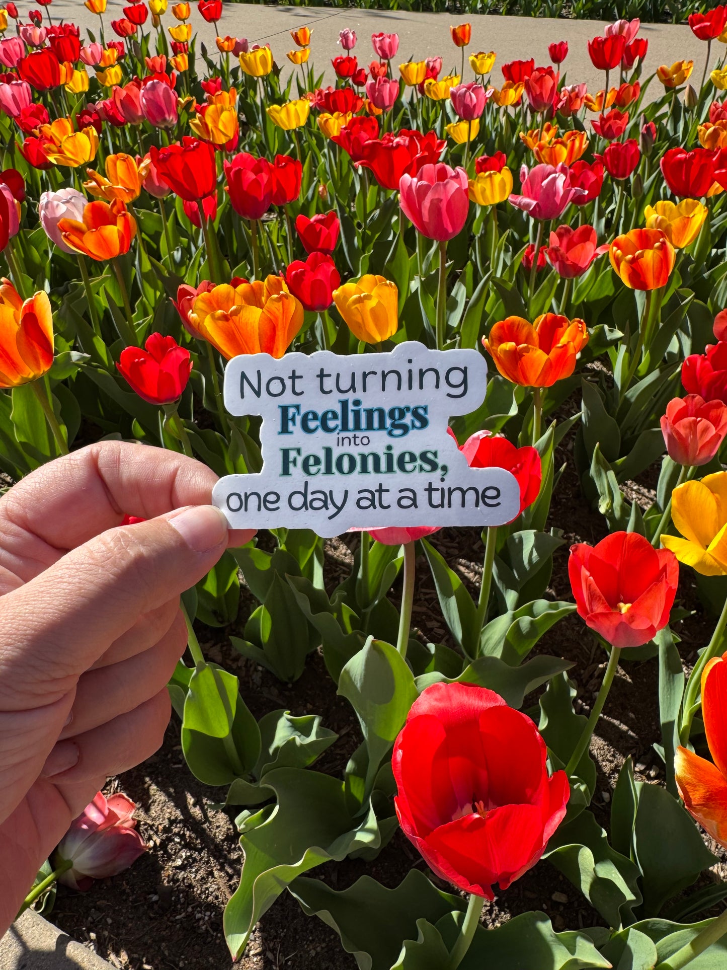 Not Turning Feelings Into Felonies Vinyl Sticker