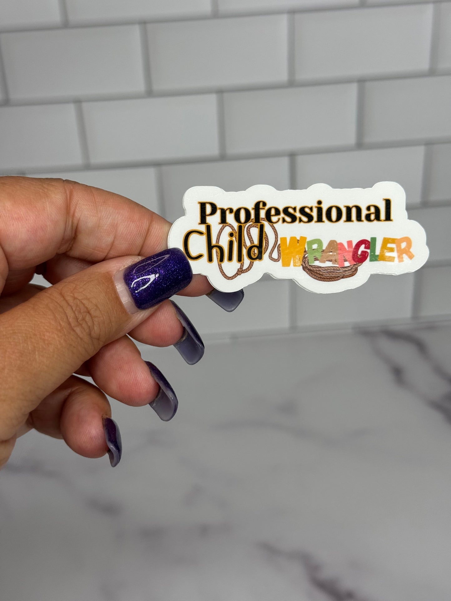 Certified Chaos Controller- Professional Child Wrangler