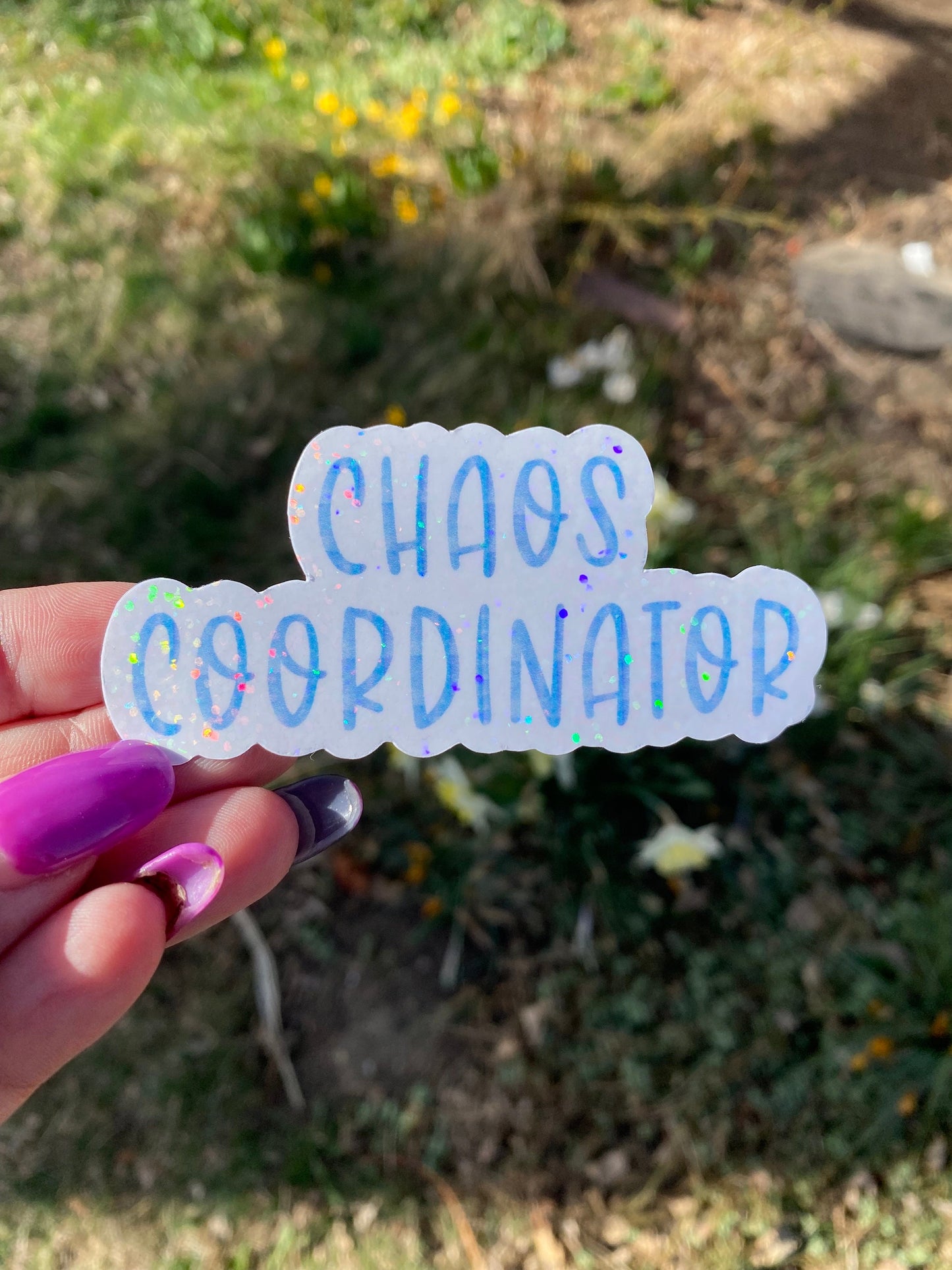 Chaos Coordinator | Vinyl Sticker