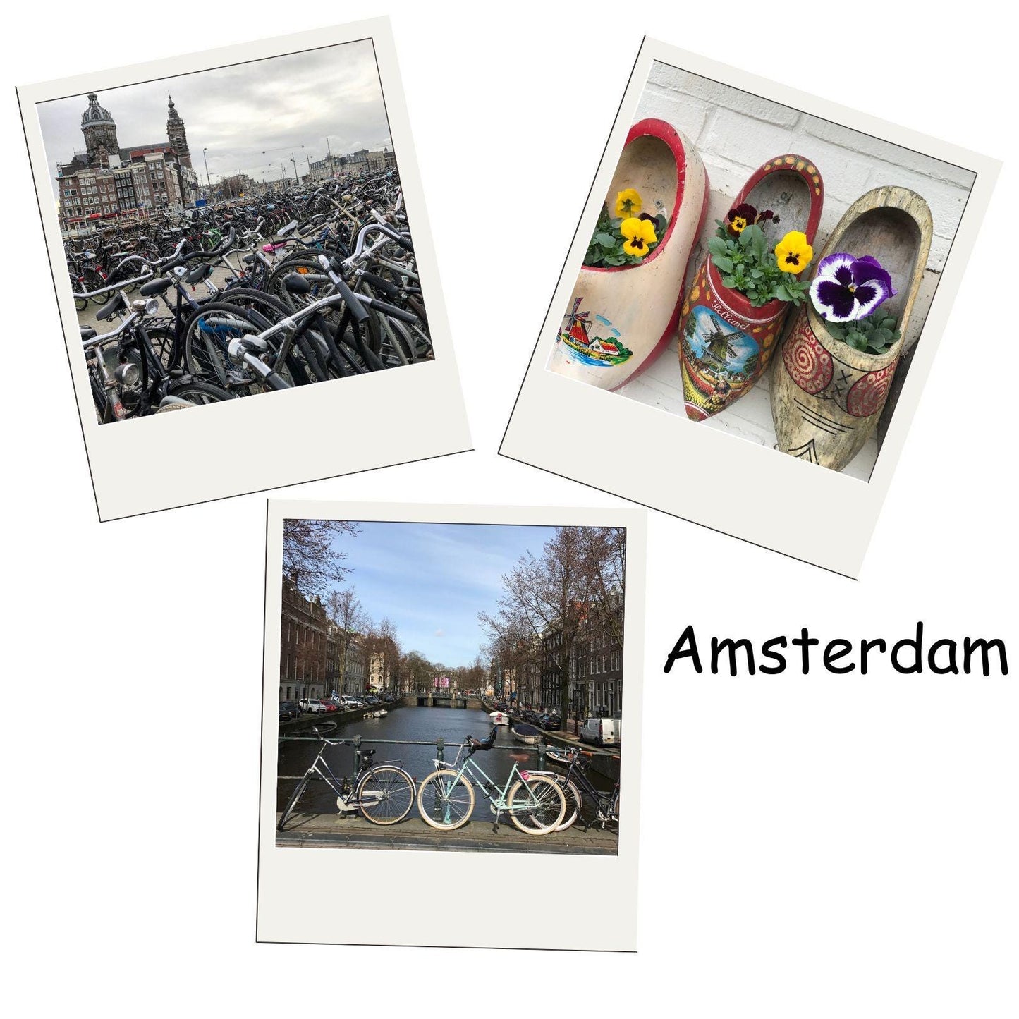 Photos Magnets for any Occasion | 3 Pack