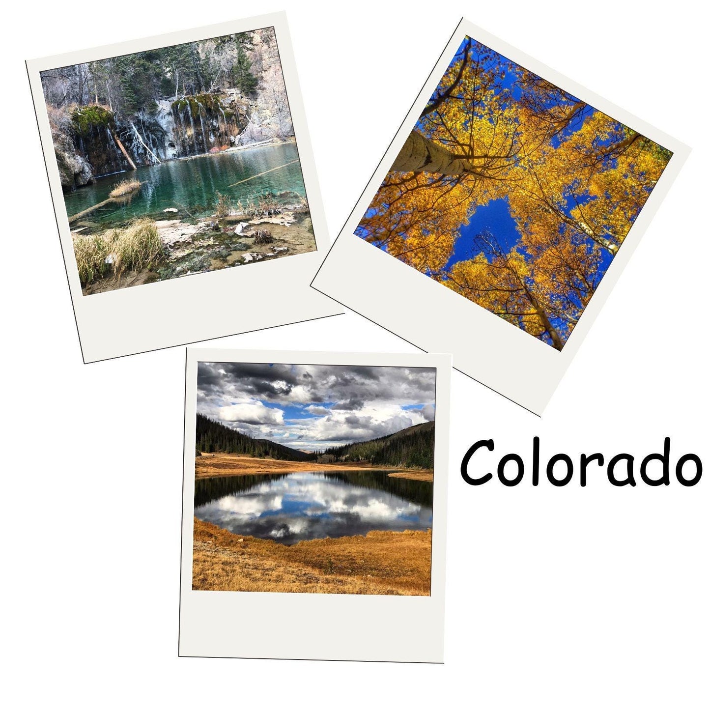 Photos Magnets for any Occasion | 3 Pack