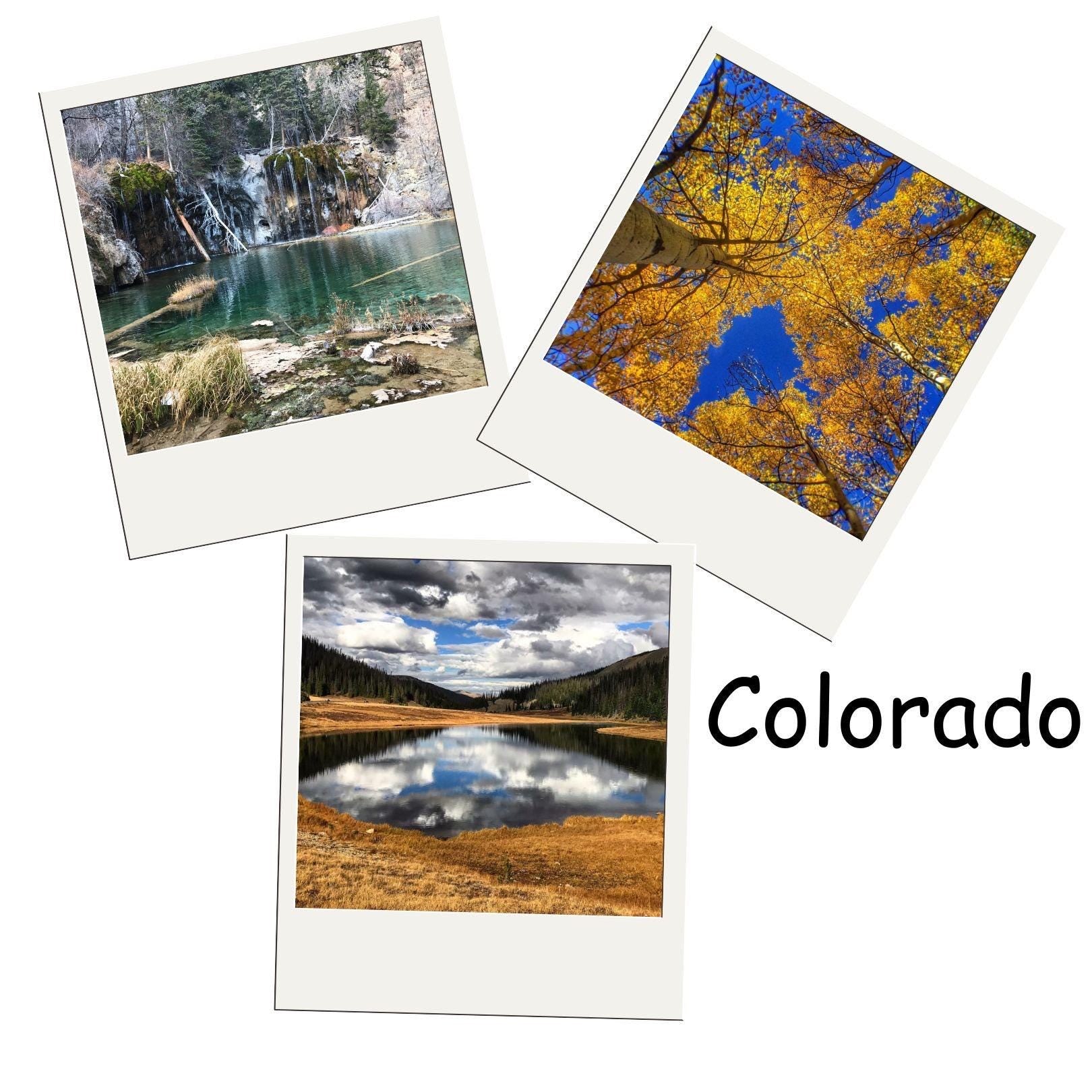 Photos Magnets for any Occasion | 3 Pack