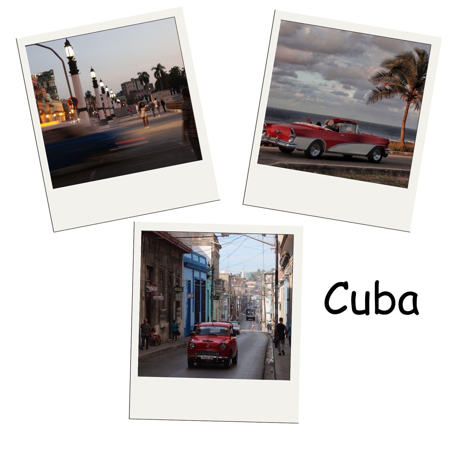 Photos Magnets for any Occasion | 3 Pack