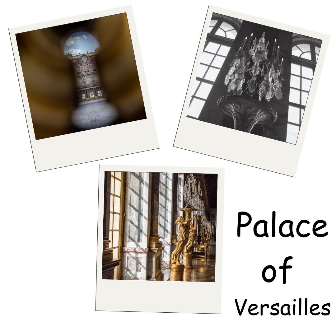 Photos Magnets for any Occasion | 3 Pack