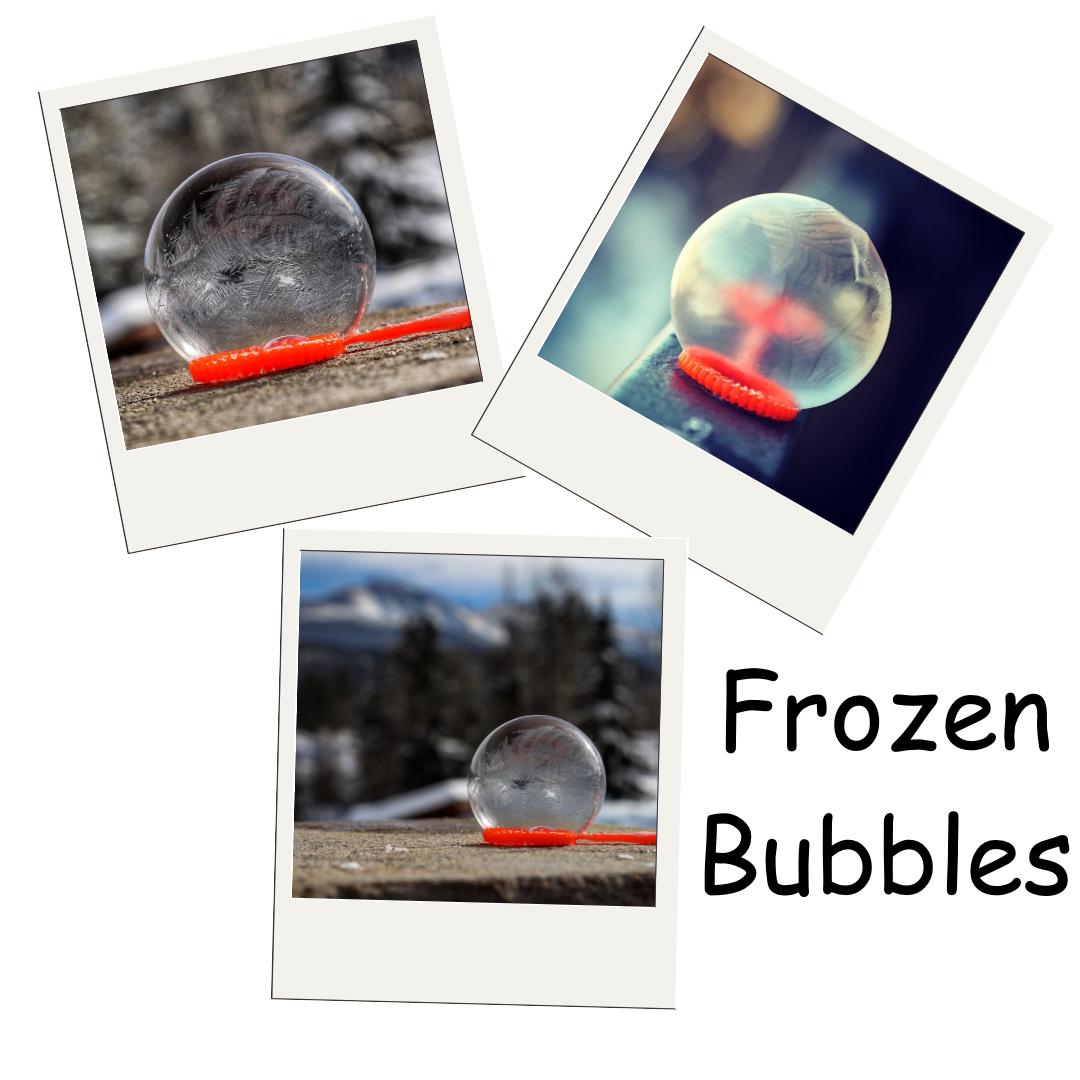Photos Magnets for any Occasion | 3 Pack